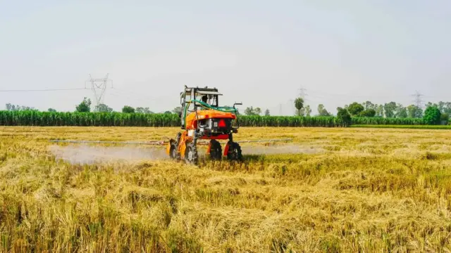 L'application d'un spray microbien sur les déchets de culture permet aux tiges de se dégrader dans le sol, l'enrichissant pour la prochaine récolte