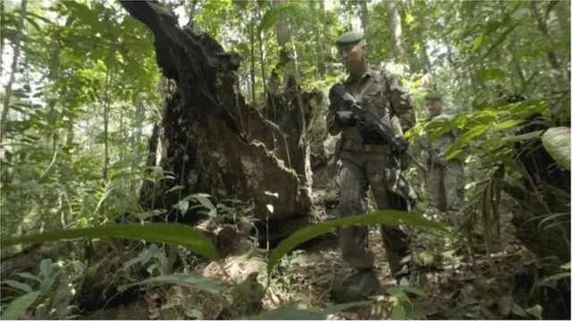 जंगलाचं रक्षण करणारे सैनिक