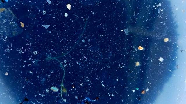 Пример пластика в океане