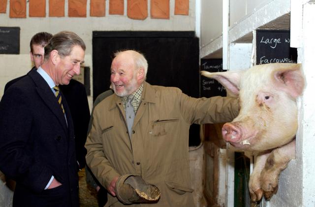 Rei Charles 3º posa com o criador de porcos Peter Hart e "Sally The Sow", durante uma visita à Warriner School Organic Farm em 31 de janeiro de 2003