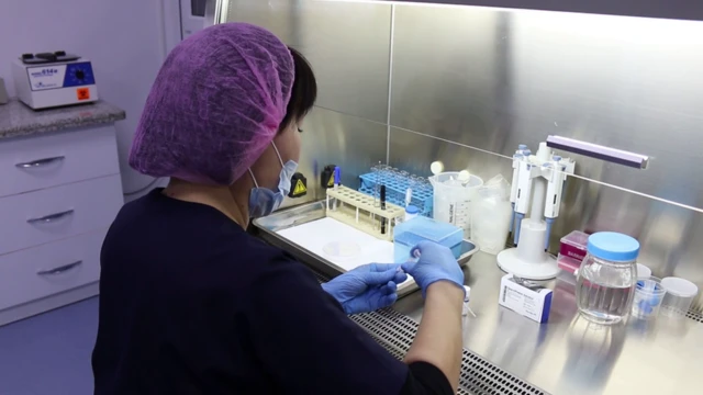 Cперматозоидди жана энелик клеткаларды туура температурада сактоо керек