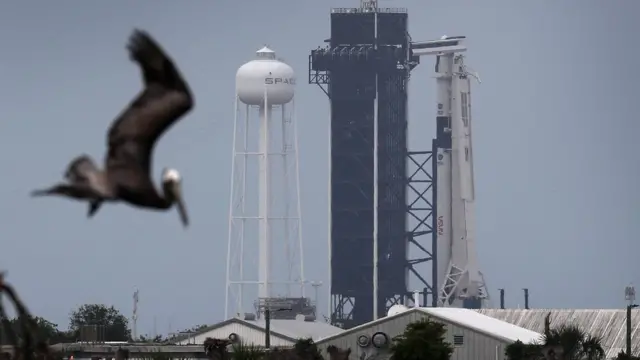 Ave voando, com foguete e cápsula espacial da Space X estacionada ao fundo