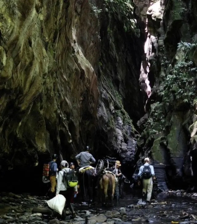 Perjalanan terjal di Ranura Canyon, Magdalena Valley bersama ilmuan dari Kew Gardens untuk mencari jenis tumbuhan langka.