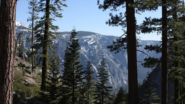 ምድቓል ቀንዲ መንገዲ ንነዊሕ ዕምሪ