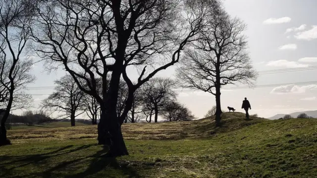 Restos del Muro Antonino