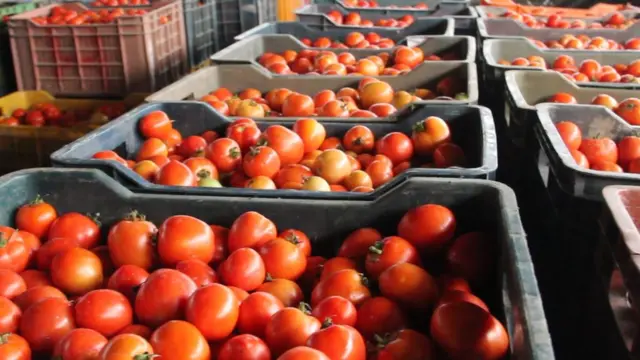 गोलभेँडा