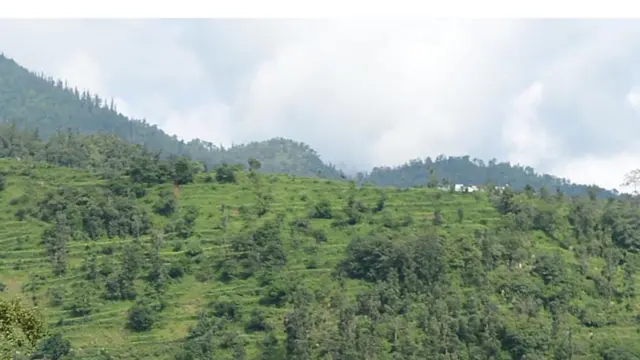 उत्तराखंड के पहाड़ी खेत