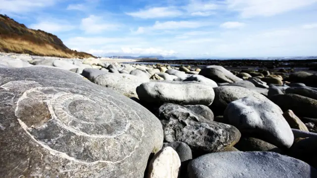 Юрский берег