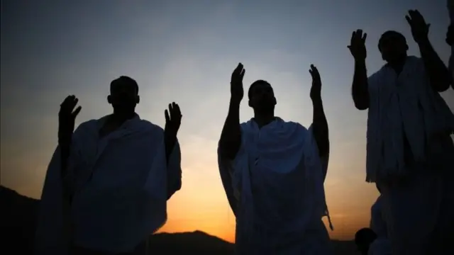 Muslim pilgrims join one of the Hajj rituals on Mount Arafat near Mecca (11 September 2016)
