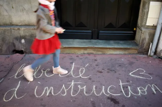 طفلة خلال تظاهرة في مدينة تولوز الفرنسية - نوفمبر 2020