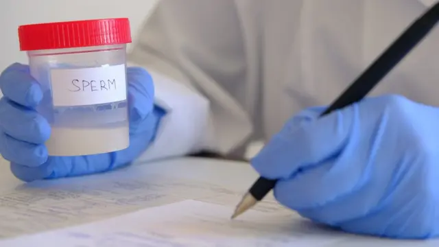 செயற்கை கருத்தரிப்பு