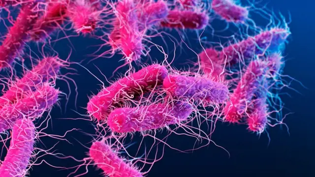 Selon les scientifiques, l'utilisation inconsidérée d'antibiotiques peut avoir des effets à long terme sur la santé intestinale et le système immunitaire en général.