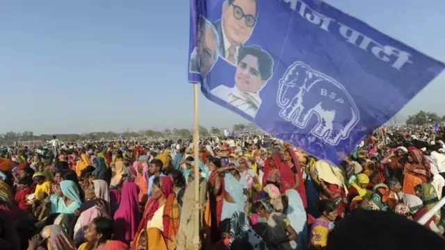 बसपचा झेंडा