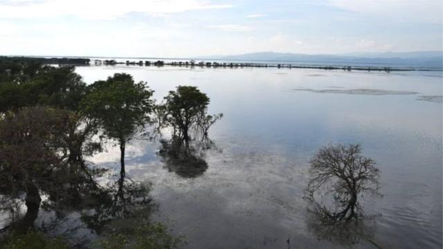 টাঙ্গুয়ার হাওর, অনেকেই এখন বেড়াতে যাচ্ছেন এই স্থানে।