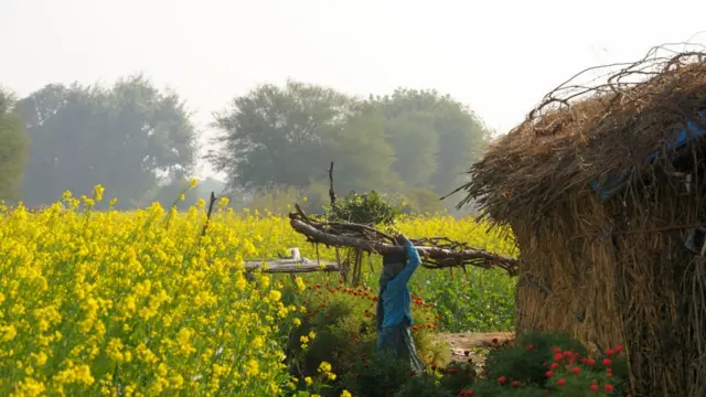 પ્રતીકાત્મક તસવીર