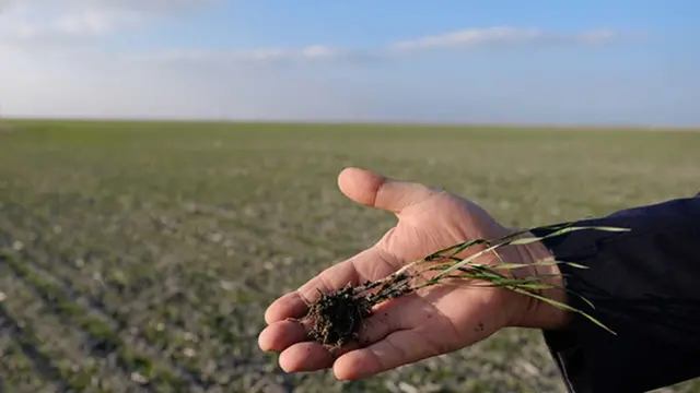 Üretim maliyetlerindeki artış nedeniyle bazı çiftçiler zararına üretim yapmaktansa üretime ara vermeyi tercih ediyor
