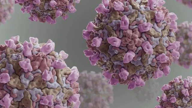 Koksaki B virus je povezan sa razvojem dijabetesa tipa 1 - i sada se naučnici pitaju da li bi kovid-19 takođe mogao da učini ljude podložnijim