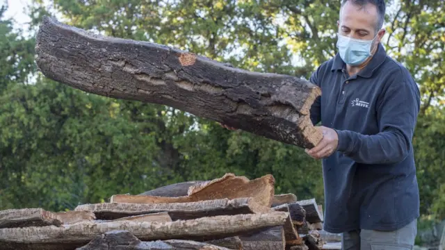 意大利撒丁島滕皮奧保薩尼亞鎮一家工場內工人在處理剛採下的軟木塊（22/5/2020）
