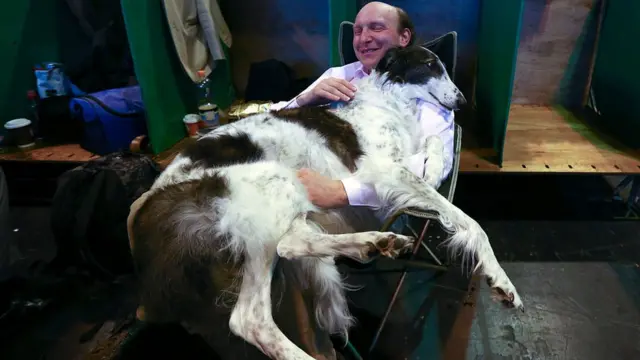 Собака і господар