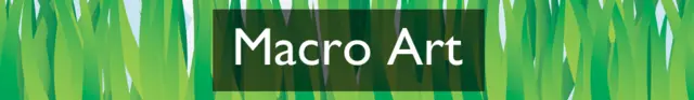 Section heading: Macro Art