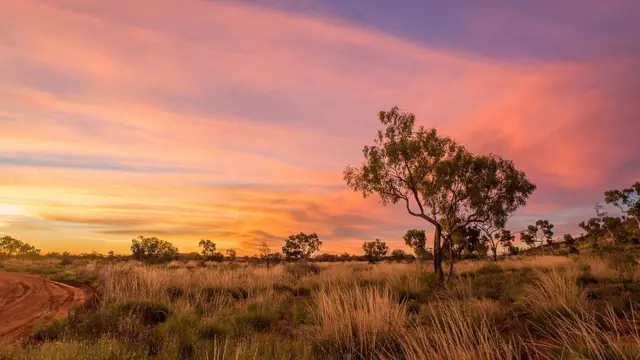 Pemandangan di Suaka Margasatwa Newhaven, dekat Gurun Tanami, Australia Tengah, Wilayah Utara, Australia.