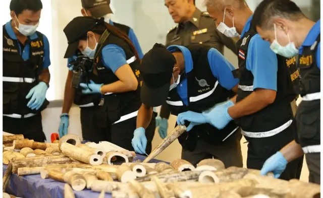 مجموعة إنقاذ تفحص منحوتات من العاج