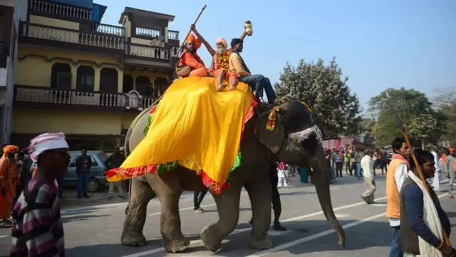 Индия, слон