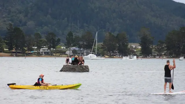 La isla de los bebedores en el estuario de Tairua, Nueva Zelanda. Foto: David Saunders