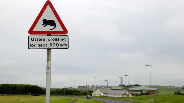 Дорожный знак у города Керкуолл