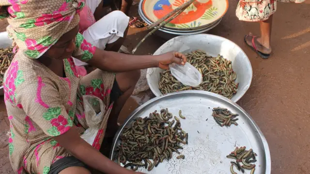 อาหารจากแมลง