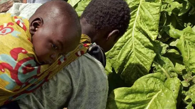 Nchọpụta otu Human Right Watch si na ajụjụ ọnụ dị otu narị na iri na ise ha mere nke gụnyere ụmụaka na-arụ ọrụ