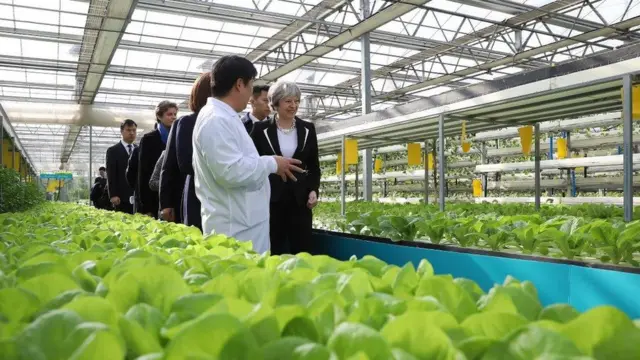 Bà Theresa May thăm AgriGarden gần Bắc Kinh