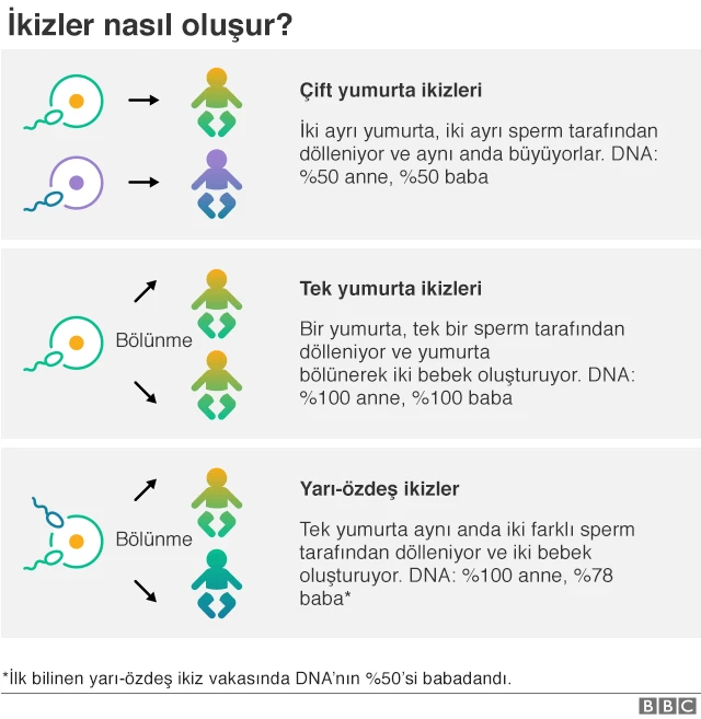 ikizler grafik