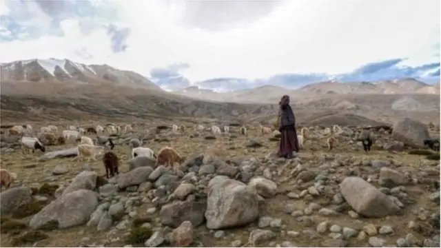 హిమాలయాల ప్రాంతం