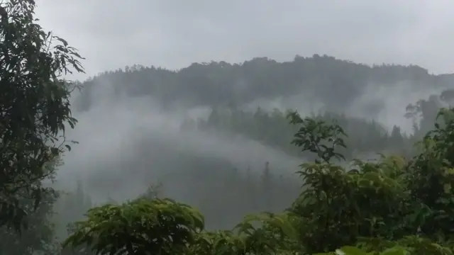 සිංහරාජය