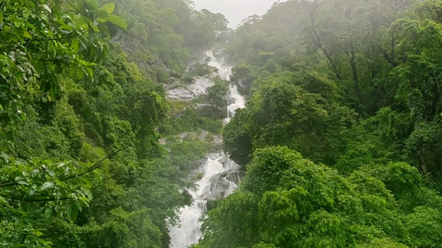கோவை சுற்றுலா
