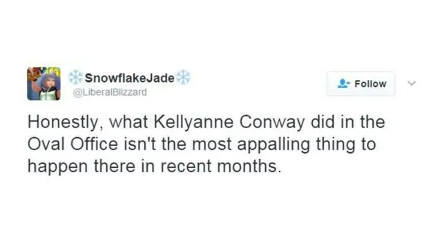 Юзер SnowflakeJade: "Чесно кажучи, те, що зробила Келліенн Конуей в Овальному кабінеті, - це не найгірша річ, яка тут сталася за останні місяці"
