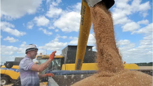 У великих зернових господарствах є і техніка, і робочі руки