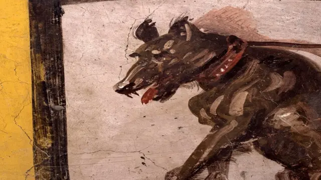 изображение собаки