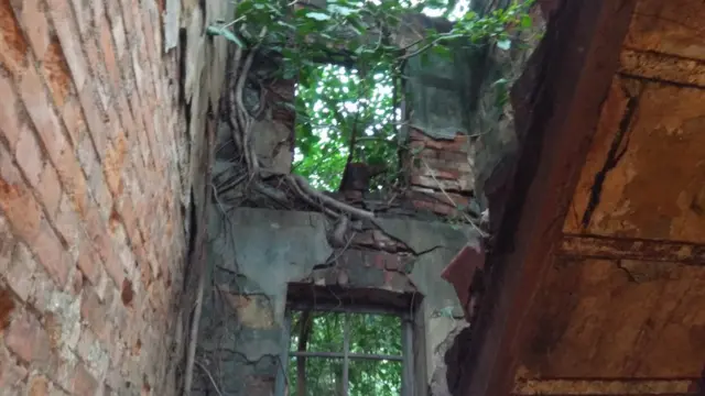 প্রায় ১৭০ বছরের পুরনো একটি বাড়ি – ছাদ ভেঙ্গে গিয়ে দেখা যাচ্ছে এক টুকরো আকাশ।