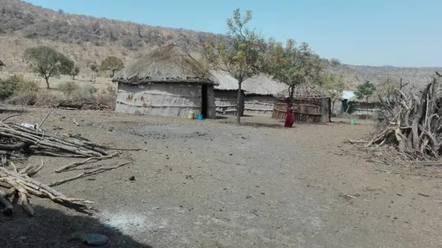 Nyumba takriban 40 za mzee laiboni