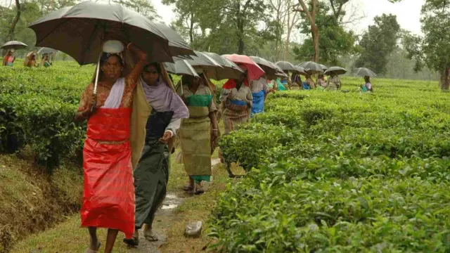 दार्जिलिंग