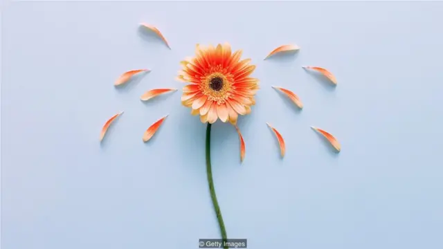 服用避孕藥的女性在識別他人的情感(如傷心)上做得不夠好,這一點在男性中更為普遍。