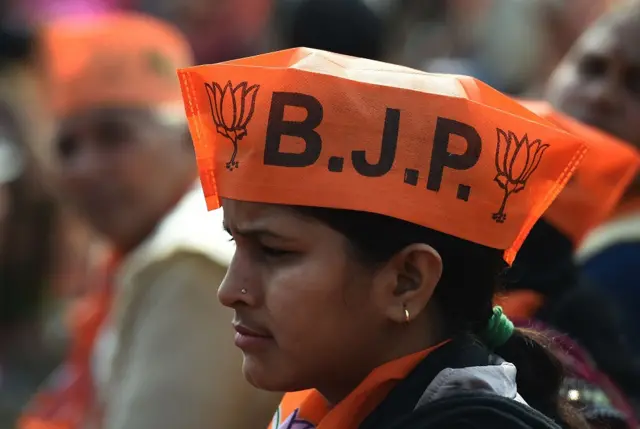 मोदी समर्थक, बीजेपी समर्थक