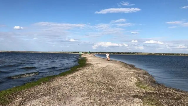 Не лише сало - як українські устриці стали доступним делікатесом