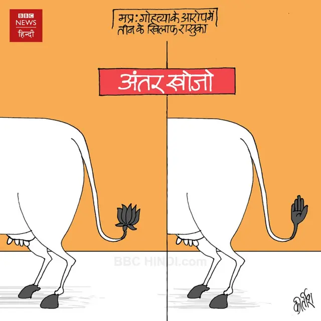 कार्टून