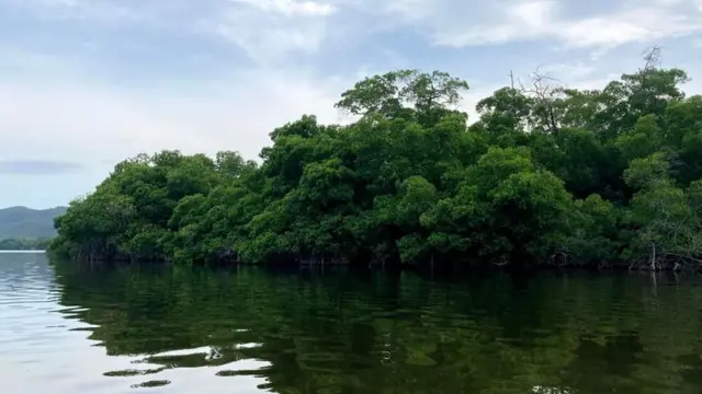 A lagoa em Puerto Escondido