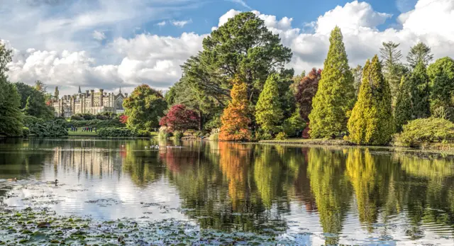 Sheffield Park by Dawn Blight