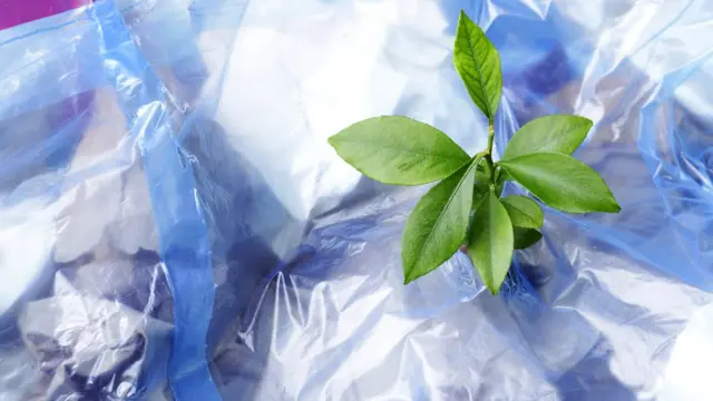 Список отвергнутых идей можно продолжать до бесконечности, но некоторые все же прорастают сквозь слои мусора предубеждений