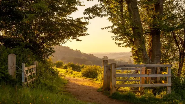 Дорога в Саррейских холмах.